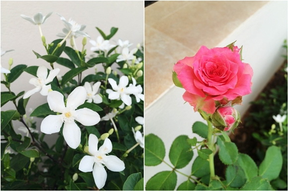 �Ѵ�ǹ�ѧ��ɴ��µ���ͧ��ѹ��ش �����Ѵ�Թ仵�� 2 ����