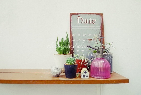  ��Ѻ��ا�ǹ���������� ������ � ��Թ��駤�������