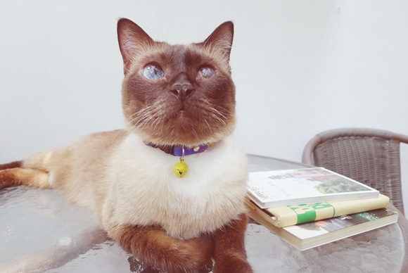  ��Ѻ��ا�ǹ���������� ������ � ��Թ��駤�������