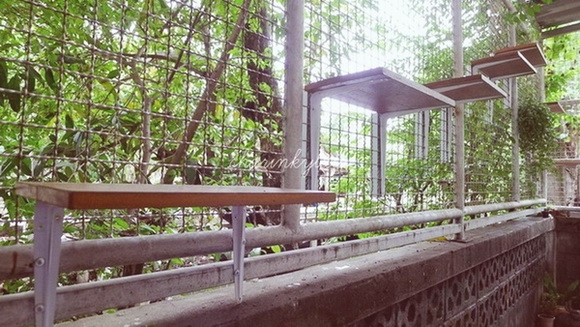  ��Ѻ��ا�ǹ���������� ������ � ��Թ��駤�������