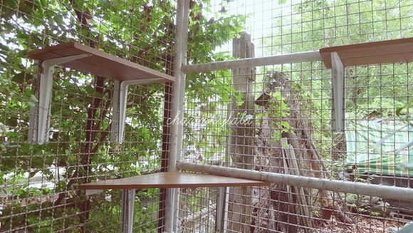  ��Ѻ��ا�ǹ���������� ������ � ��Թ��駤�������