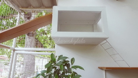  ��Ѻ��ا�ǹ���������� ������ � ��Թ��駤�������