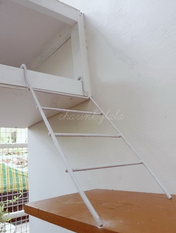  ��Ѻ��ا�ǹ���������� ������ � ��Թ��駤�������