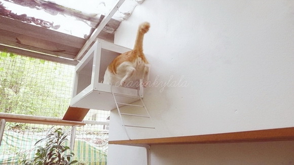  ��Ѻ��ا�ǹ���������� ������ � ��Թ��駤�������