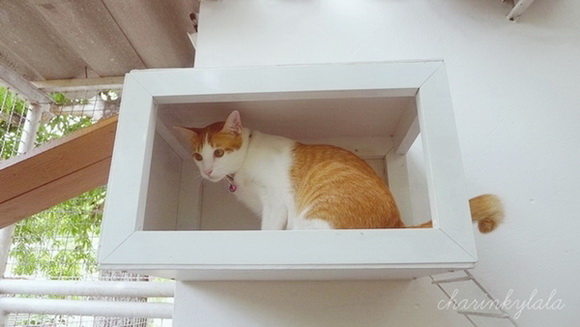  ��Ѻ��ا�ǹ���������� ������ � ��Թ��駤�������