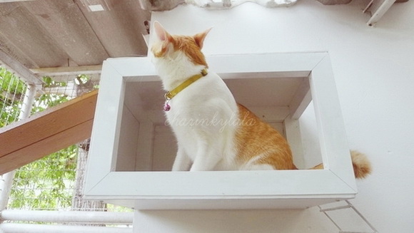  ��Ѻ��ا�ǹ���������� ������ � ��Թ��駤�������