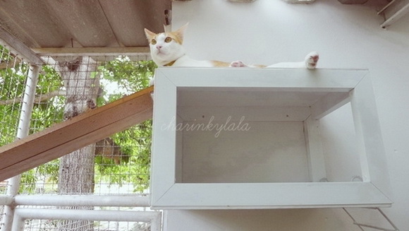  ��Ѻ��ا�ǹ���������� ������ � ��Թ��駤�������