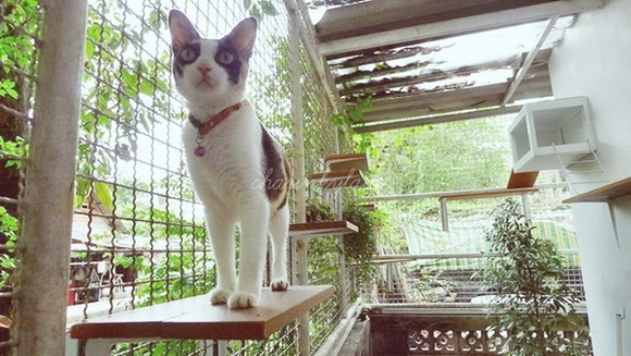  ��Ѻ��ا�ǹ���������� ������ � ��Թ��駤�������