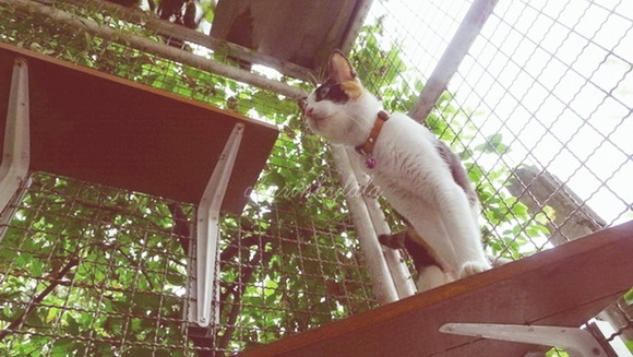  ��Ѻ��ا�ǹ���������� ������ � ��Թ��駤�������