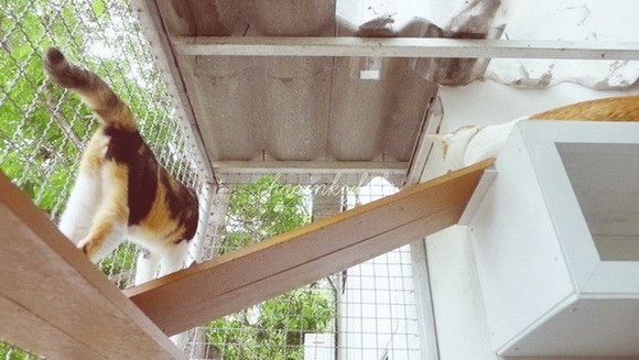  ��Ѻ��ا�ǹ���������� ������ � ��Թ��駤�������