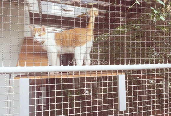  ��Ѻ��ا�ǹ���������� ������ � ��Թ��駤�������