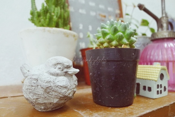  ��Ѻ��ا�ǹ���������� ������ � ��Թ��駤�������