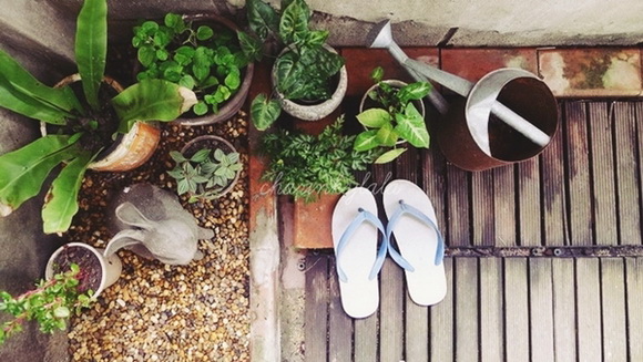  ��Ѻ��ا�ǹ���������� ������ � ��Թ��駤�������