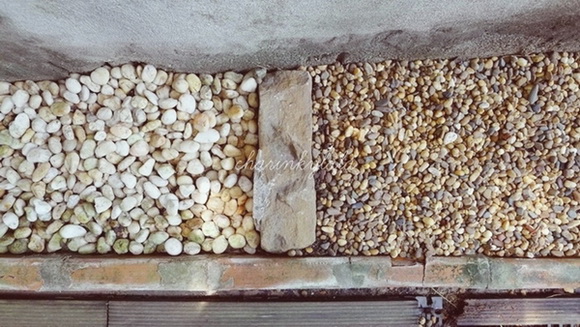  ��Ѻ��ا�ǹ���������� ������ � ��Թ��駤�������