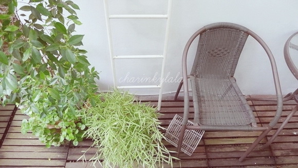  ��Ѻ��ا�ǹ���������� ������ � ��Թ��駤�������