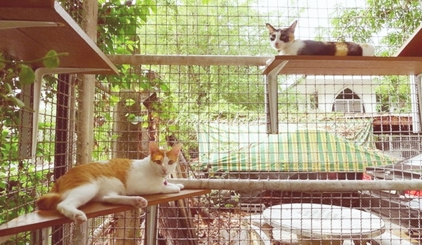  ��Ѻ��ا�ǹ���������� ������ � ��Թ��駤�������