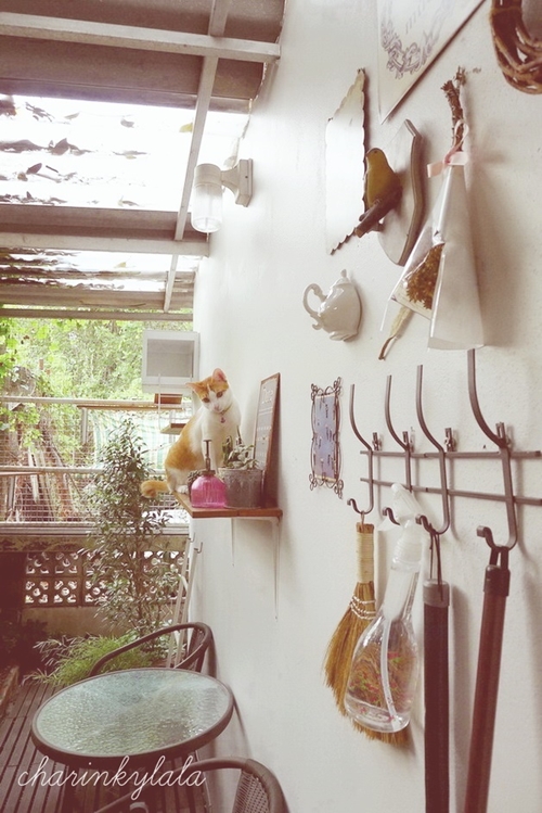  ��Ѻ��ا�ǹ���������� ������ � ��Թ��駤�������