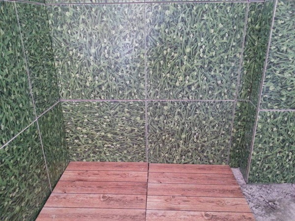 ��ҹ���������ѧ���� �� 4.5 �ʹ �����Թ 50 ��.�.