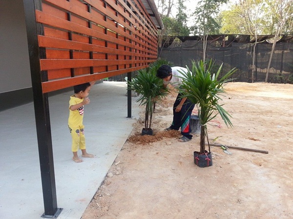 ��ҹ���������ѧ���� �� 4.5 �ʹ �����Թ 50 ��.�.