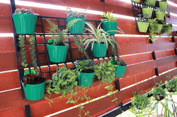 ��ҹ���������ѧ���� �� 4.5 �ʹ �����Թ 50 ��.�.