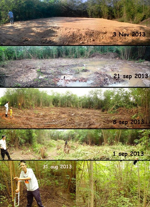 ��ҹ���������ѧ���� �� 4.5 �ʹ �����Թ 50 ��.�.