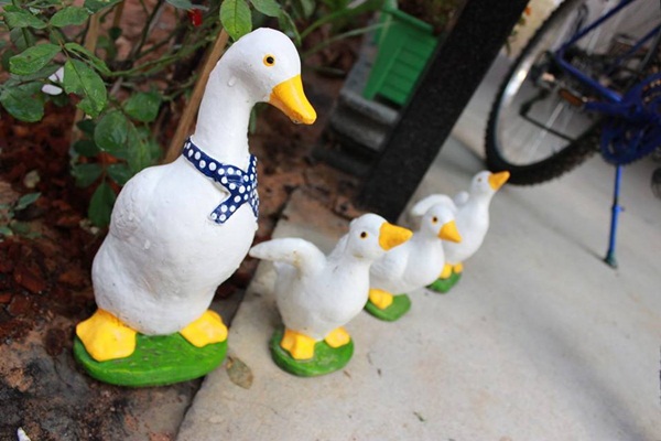 ��ҹ���������ѧ���� �� 4.5 �ʹ �����Թ 50 ��.�.