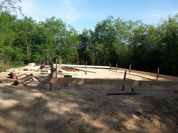 ��ҹ���������ѧ���� �� 4.5 �ʹ �����Թ 50 ��.�.