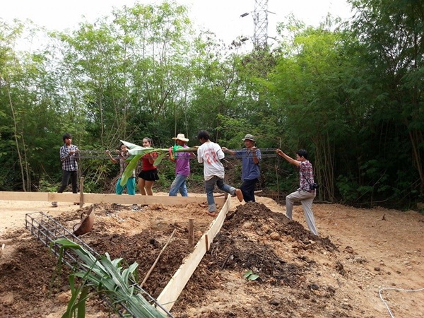 ��ҹ���������ѧ���� �� 4.5 �ʹ �����Թ 50 ��.�.