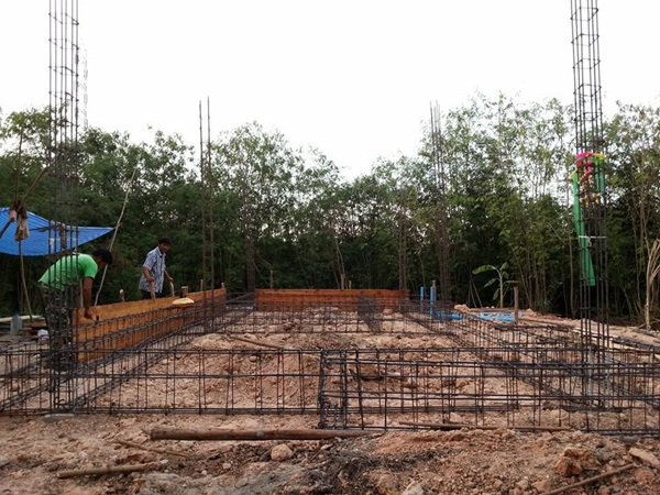 ��ҹ���������ѧ���� �� 4.5 �ʹ �����Թ 50 ��.�.