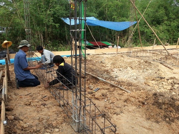 ��ҹ���������ѧ���� �� 4.5 �ʹ �����Թ 50 ��.�.