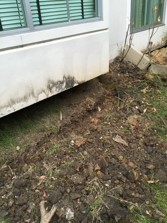 �Ѵ�ǹ���µ���ͧ�ҡ�ǹ��� � ��ٴբ�鹨��������ǹ���