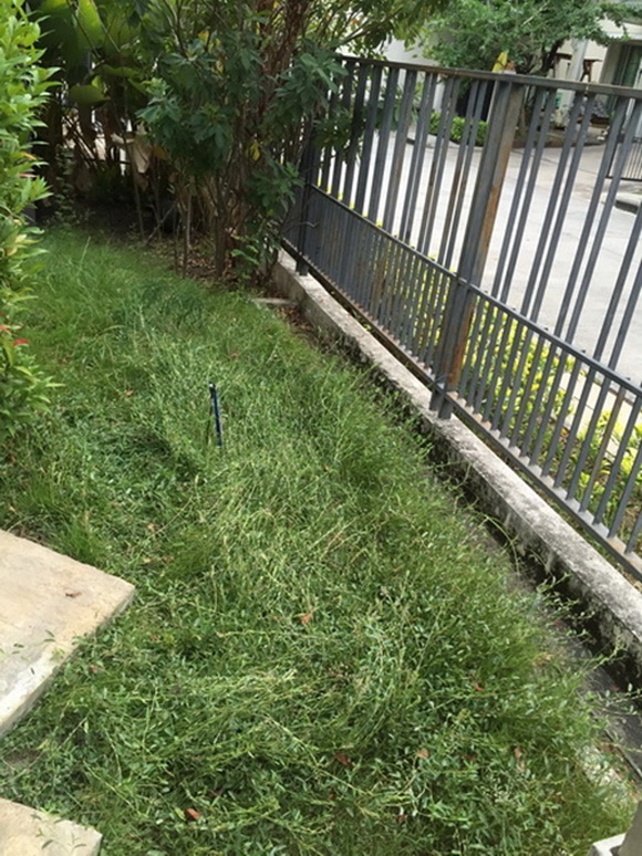 �Ѵ�ǹ���µ���ͧ�ҡ�ǹ��� � ��ٴբ�鹨��������ǹ���