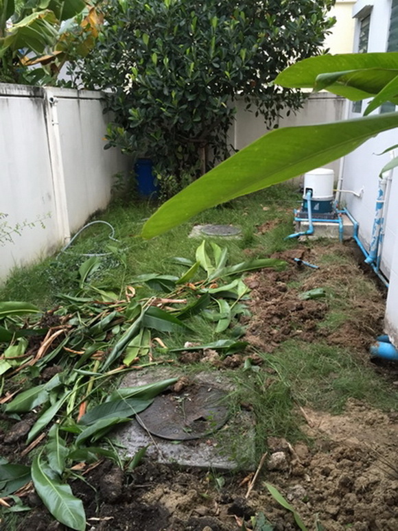 �Ѵ�ǹ���µ���ͧ�ҡ�ǹ��� � ��ٴբ�鹨��������ǹ���