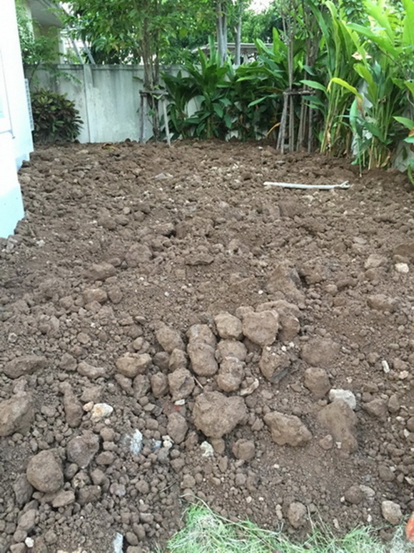 �Ѵ�ǹ���µ���ͧ�ҡ�ǹ��� � ��ٴբ�鹨��������ǹ���