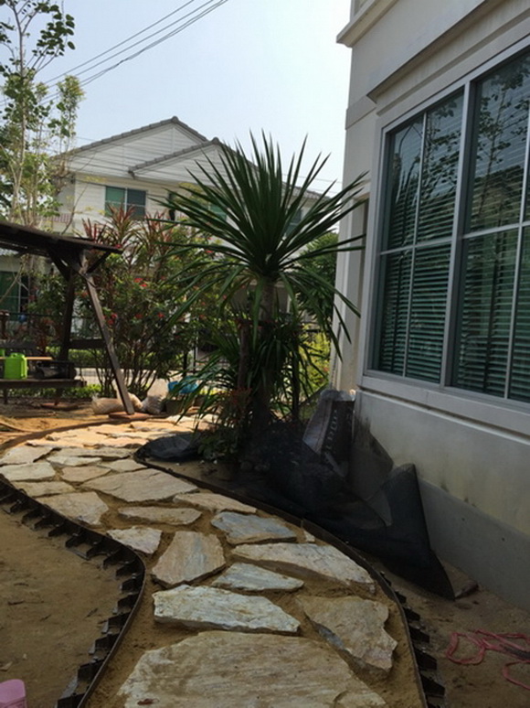 �Ѵ�ǹ���µ���ͧ�ҡ�ǹ��� � ��ٴբ�鹨��������ǹ���