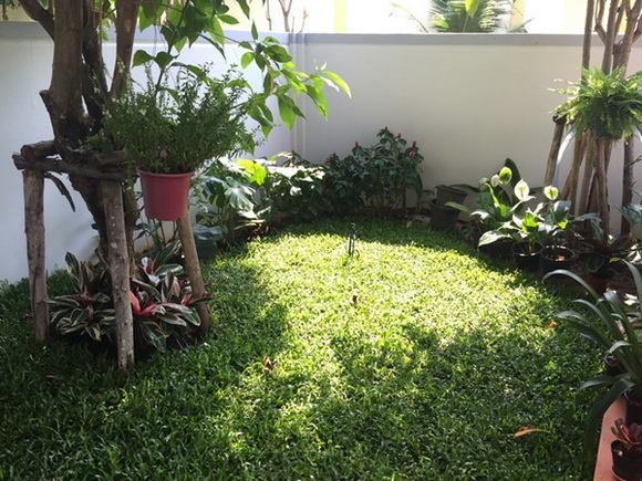 �Ѵ�ǹ���µ���ͧ�ҡ�ǹ��� � ��ٴբ�鹨��������ǹ���