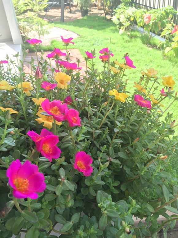 �Ѵ�ǹ���µ���ͧ�ҡ�ǹ��� � ��ٴբ�鹨��������ǹ���