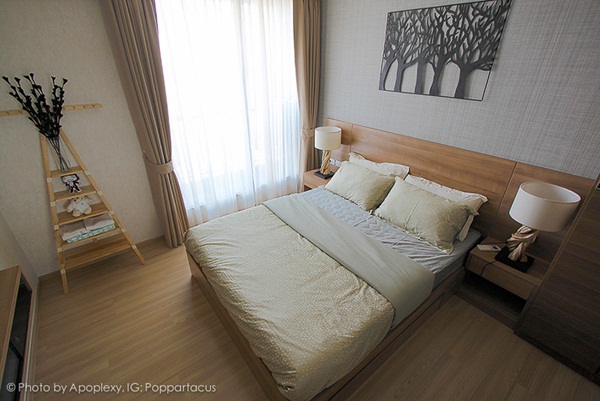 ������觤͹���ͧ 45 ��.�. Ẻ������ૹ ����ҡ��ͺ�������͹�����ҹ