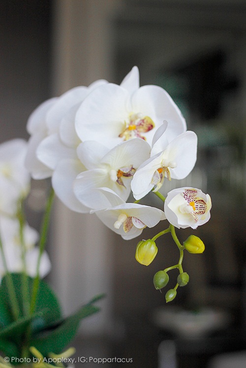 ������觤͹���ͧ 45 ��.�. Ẻ������ૹ ����ҡ��ͺ�������͹�����ҹ