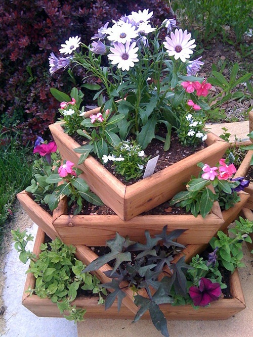 20 �����ⴹ� ����Ѻ��èѴ�ǹ����ԹԺ���鹷��ӡѴ