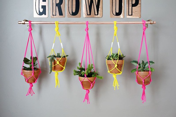 20 �����ⴹ� ����Ѻ��èѴ�ǹ����ԹԺ���鹷��ӡѴ