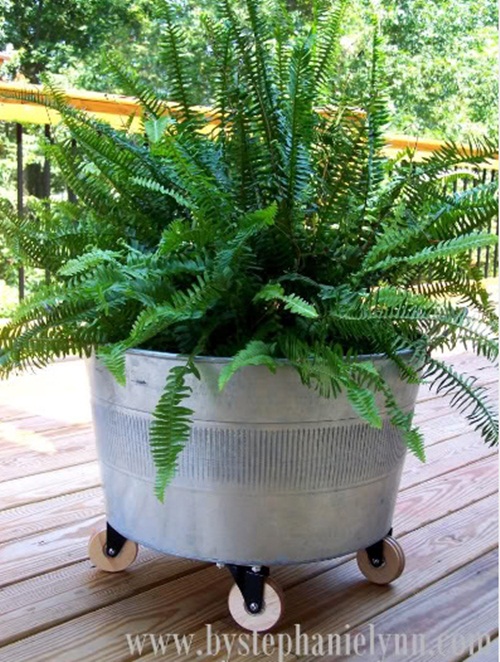 20 �����ⴹ� ����Ѻ��èѴ�ǹ����ԹԺ���鹷��ӡѴ