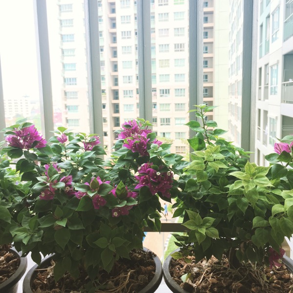 �觤͹ⴢ�Ҵ 22 ��.�. ���������������Ƿ��Թ ��������Ѻ��������