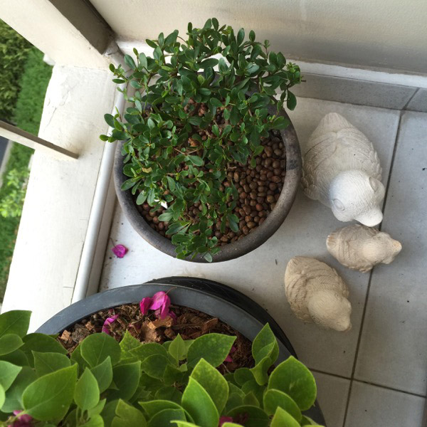 �觤͹ⴢ�Ҵ 22 ��.�. ���������������Ƿ��Թ ��������Ѻ��������