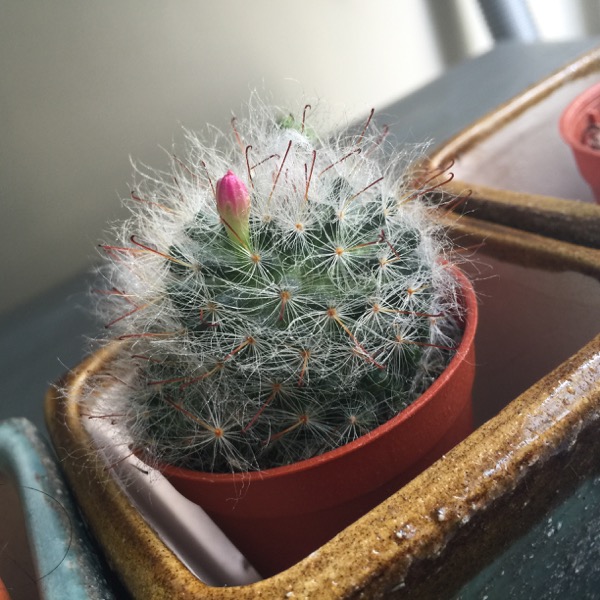 �觤͹ⴢ�Ҵ 22 ��.�. ���������������Ƿ��Թ ��������Ѻ��������