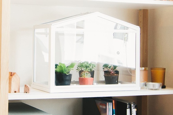 ���������ͧ��ҧ ����Ƿ������������૿��������ǹ�������Ѻ��������зӧҹ ����ҡ��ʺ�� �