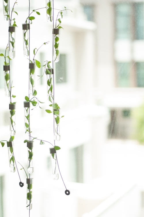 ���������ͧ��ҧ ����Ƿ������������૿��������ǹ�������Ѻ��������зӧҹ ����ҡ��ʺ�� �