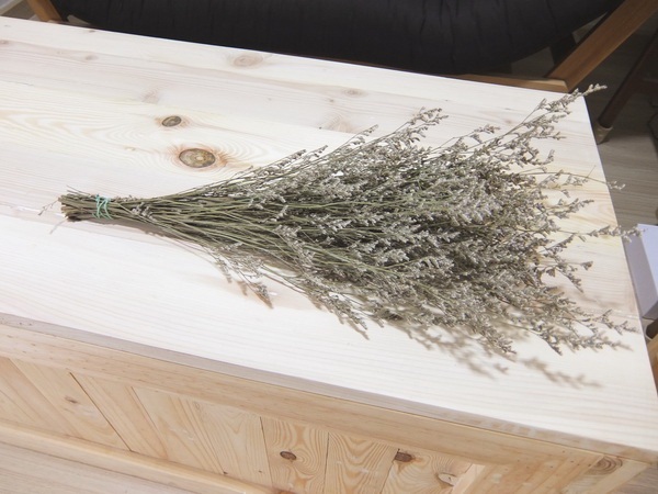 �觤͹��������� ��ͧ��硾�鹷����§ 28 ��.�. �������֡ͺ�������͹�����ҹ