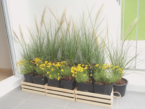 �觤͹��������� ��ͧ��硾�鹷����§ 28 ��.�. �������֡ͺ�������͹�����ҹ