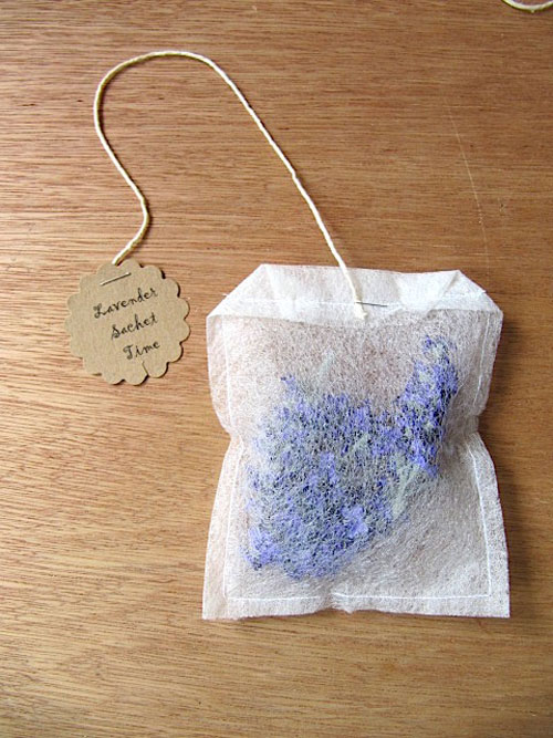 15 ����¨Ѵ��ͧ������� ���������ѧ���»����Ѵ�Թ㹡��������ա����